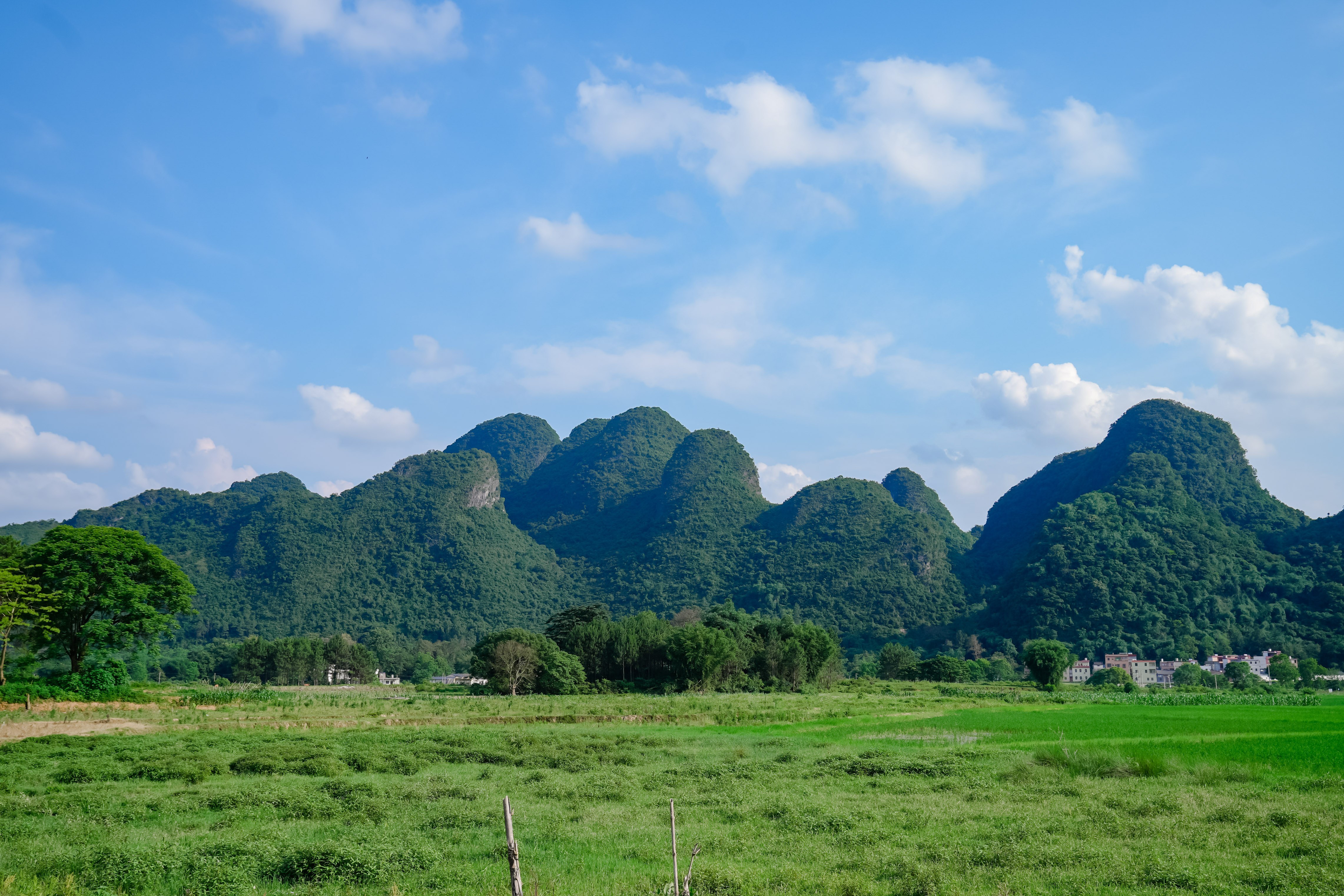 【峰林奇境】广东英德茶园+峰林徒步2天