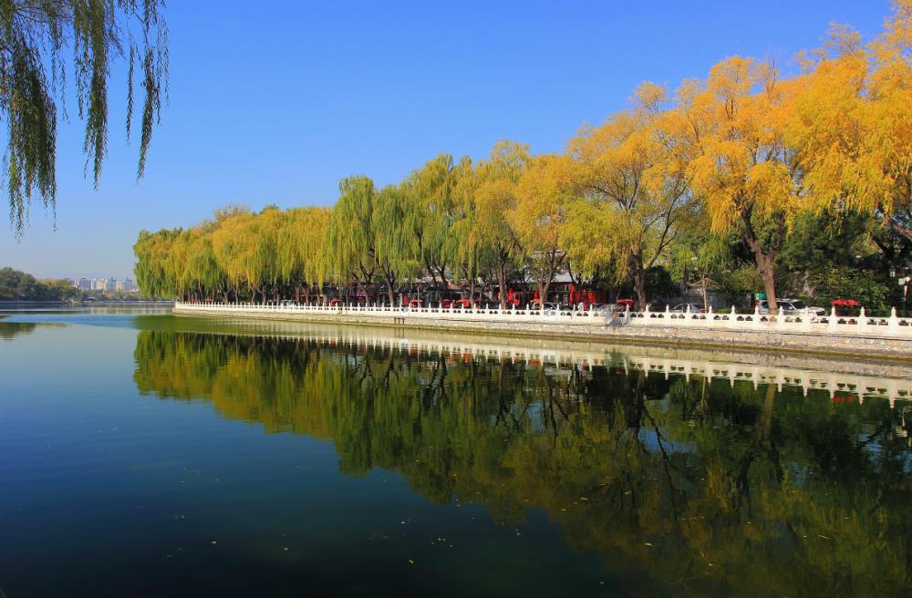 【随心·自由行】北京一地深度环游|打卡网红延禧宫、登故宫城墙解锁新视角