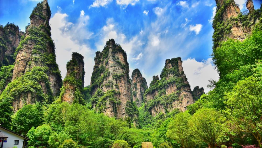 【私人·定制】张家界国家森林公园+天门山+凤凰古城+常德桃花源双高铁|尊享豪华五星入住体验