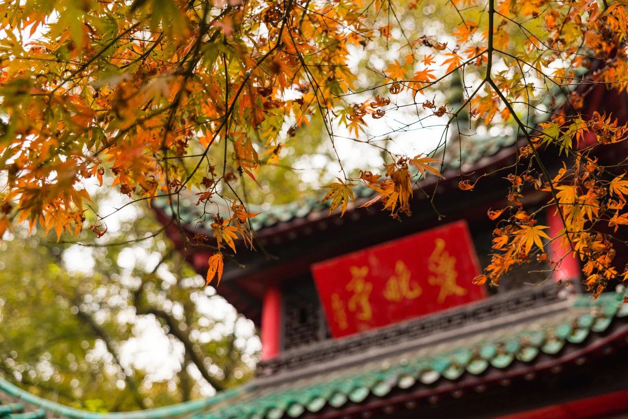 【网红之旅】打卡长沙橘子洲·岳麓山·高铁3天半自由行