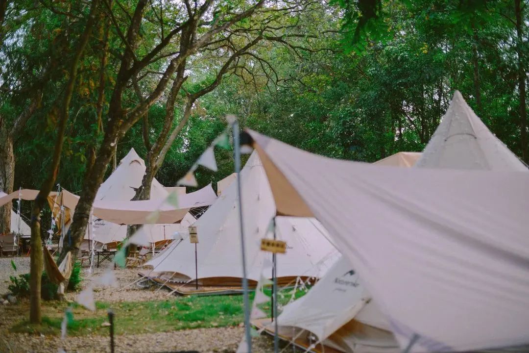 【森系露营】英德石门台溯溪野奢露营地，篝火晚会+幕布电影+户外KTV，溯溪、徒步山林2天