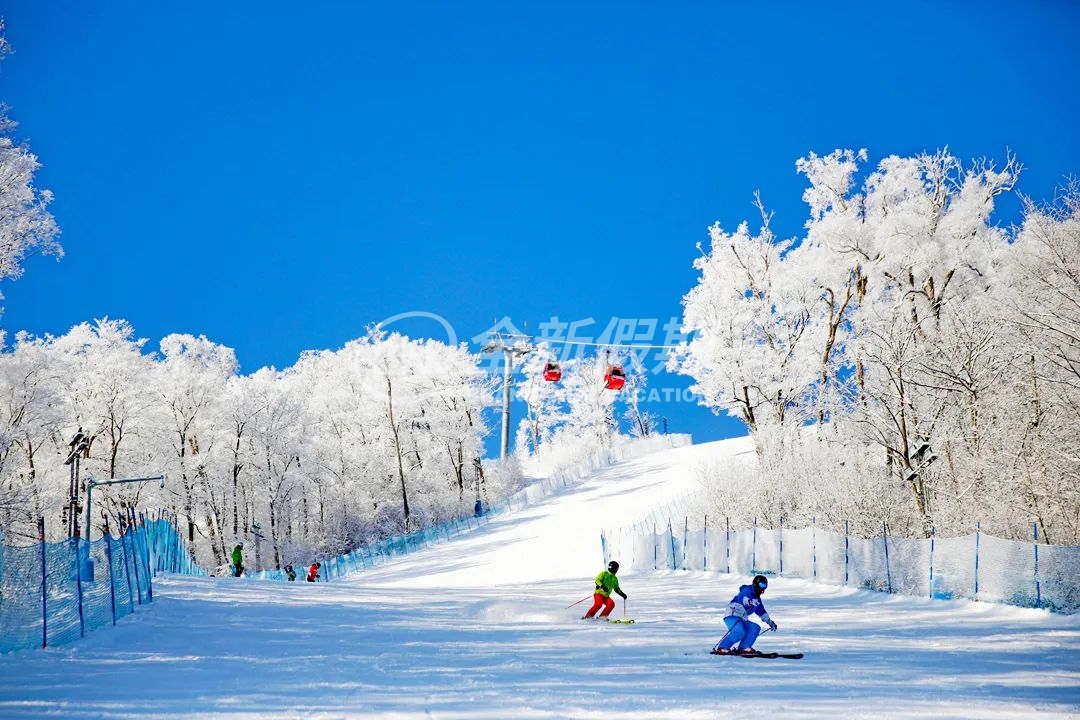 【东北亲子特辑】冰雪奇缘精品团6天5晚