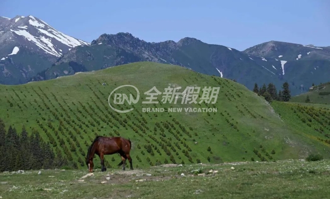 景点