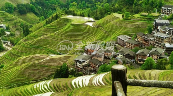 龙脊梯田