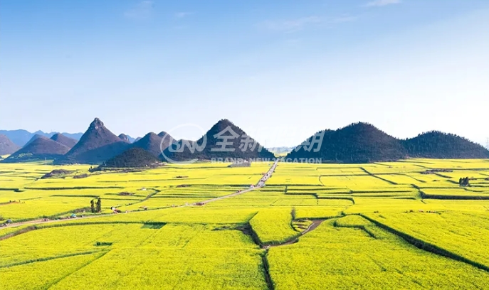 万亩油菜花