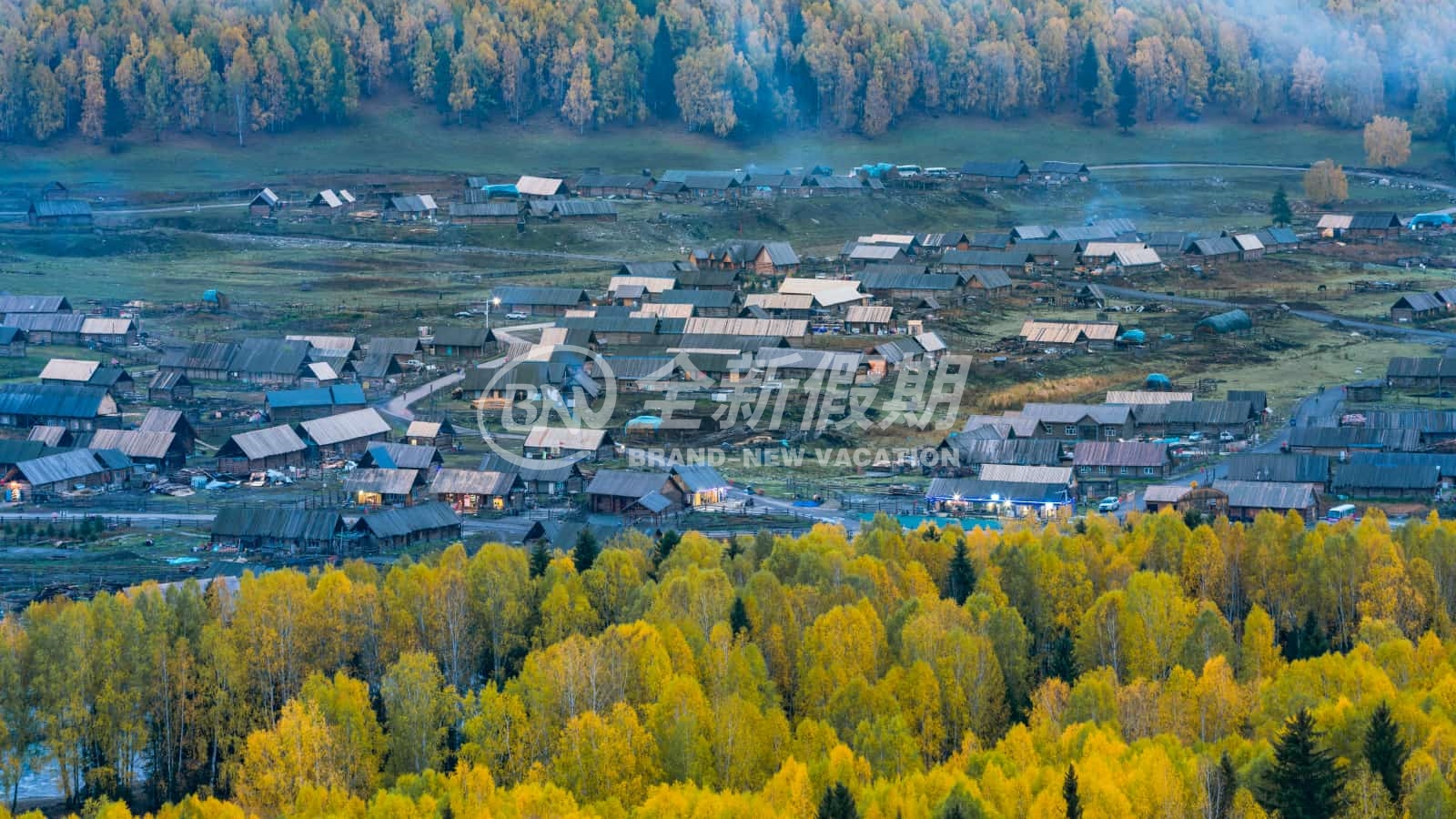 白巴哈