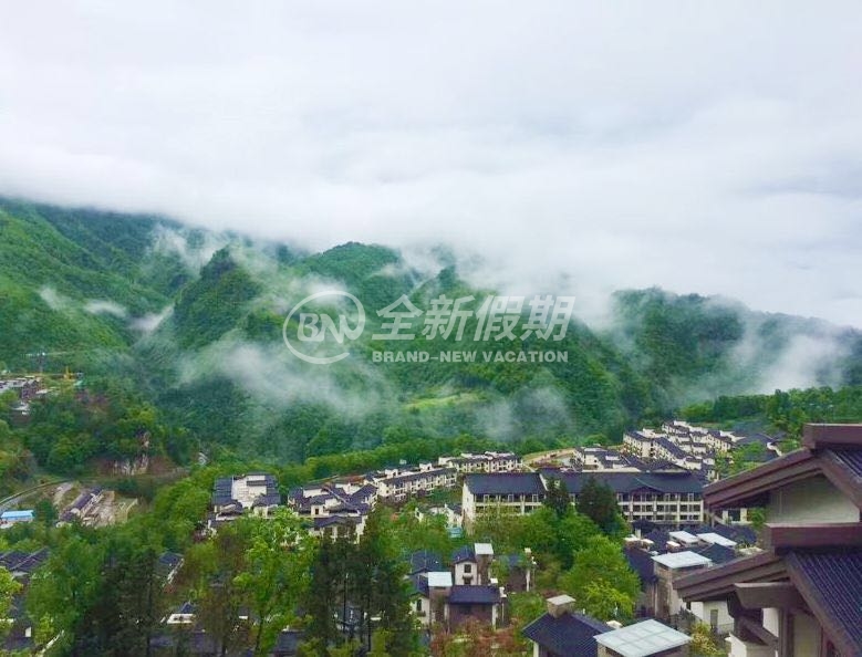 神农架阿尔卡迪亚森林酒店