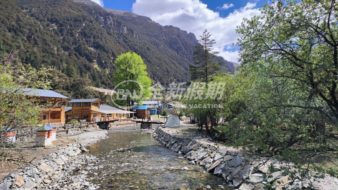 美香奶酪厂